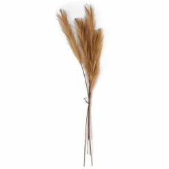 PLUME Plumas Decorativas Marrón Claro|CASA Sale