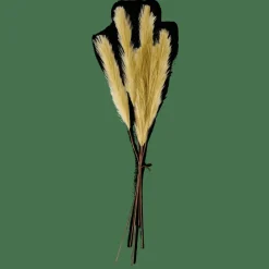PLUME Plumas Decorativas Verde|CASA Online