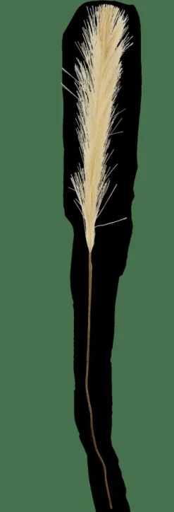 PLUME Plumas Decorativas Verde|CASA Online