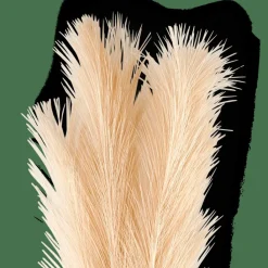 PLUME Plumas Decorativas Crema|CASA Clearance