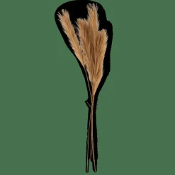 PLUME Plumas Decorativas Marrón|CASA Outlet