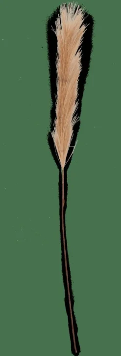 PLUME Plumas Decorativas Marrón|CASA Outlet