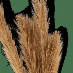 PLUME Plumas Decorativas Marrón|CASA Outlet