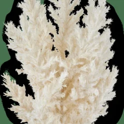 PLUME Tallo Blanco Apagado|CASA Discount