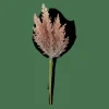 PLUME Tallo De Pluma Naranja|CASA Discount