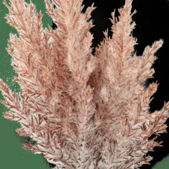 PLUME Tallo De Pluma Naranja|CASA Discount
