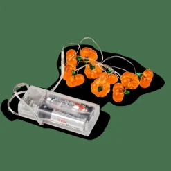 PUMPKIN Guirnalda Naranja|CASA Online
