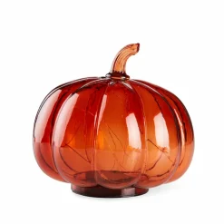 PUMPKIN Vela Naranja|CASA Clearance