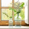 RETRO Florero Botella Transparente|CASA New