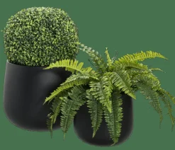 SENSE Macetero Negro|CASA Clearance
