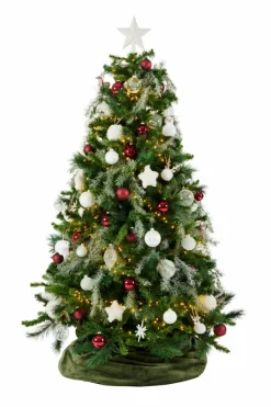 STAR Decoración Seca|CASA Best