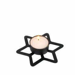 STAR Decoración Seca|CASA Best