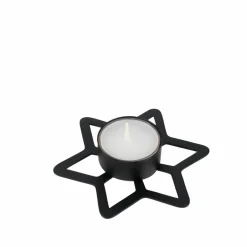 STAR Decoración Seca|CASA Best