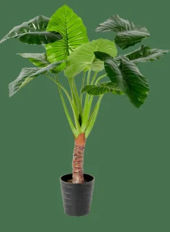 TARO Planta Artificial ARO Verde|CASA Online