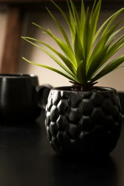 TEAK Soporte Natural|CASA New