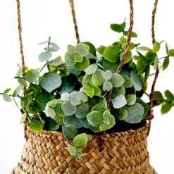 TERRA Planta En Maceta Blanco, Verde|CASA