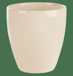 TOKO SAND Taza Beis|CASA Clearance