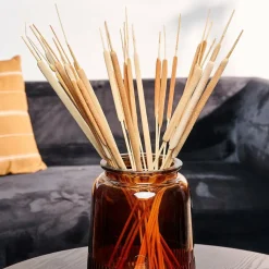 TYPHA Cañas Juego De 15 Natural|CASA Best