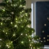 VELU Guirnalda 360 Leds|CASA Hot