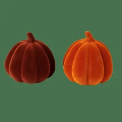 VELVET Calabaza Naranja|CASA New