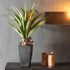 VERA Planta Aloë Vera Verde|CASA Outlet