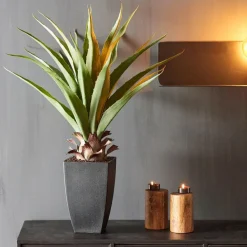 VERA Planta Aloë Vera Verde|CASA Outlet