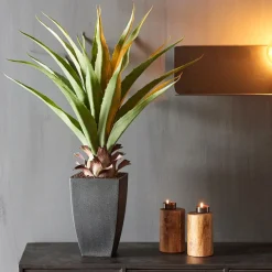 VERA Planta Crasa En Un Palillo Verde|CASA Clearance